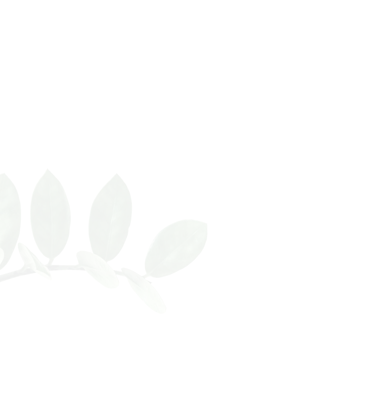 leaf shape